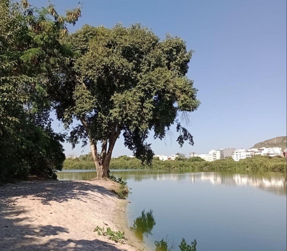 O Parque Natural Municipal Chico Mendes foi criado em 1989 no Recreio: área tem histórico de construções irregulares — Foto: Reprodução